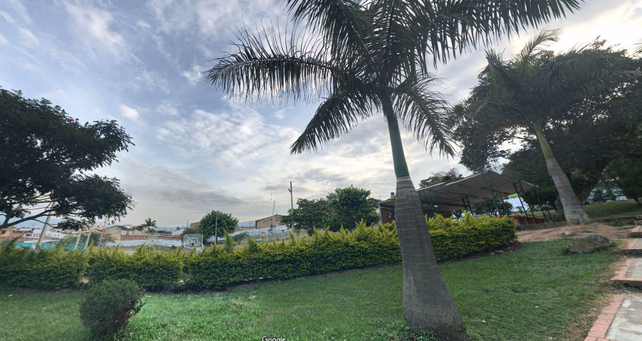 Parque con palmas, setos y prado verde bajo un cielo nublado en Fusagasugá